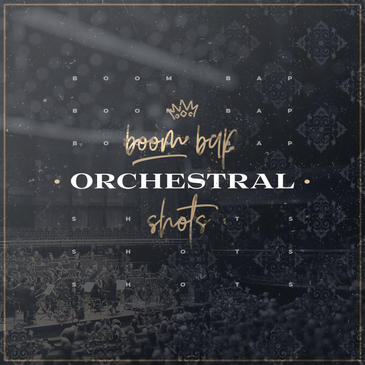 Diginoiz – Boom Bap Orchestral Shots (WAV)